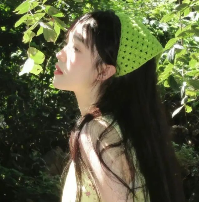 莉莉小姐的超完美日记 海报